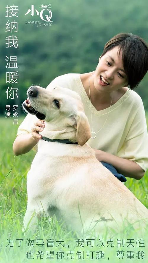 仿制萨缪尔梅里特大学文凭